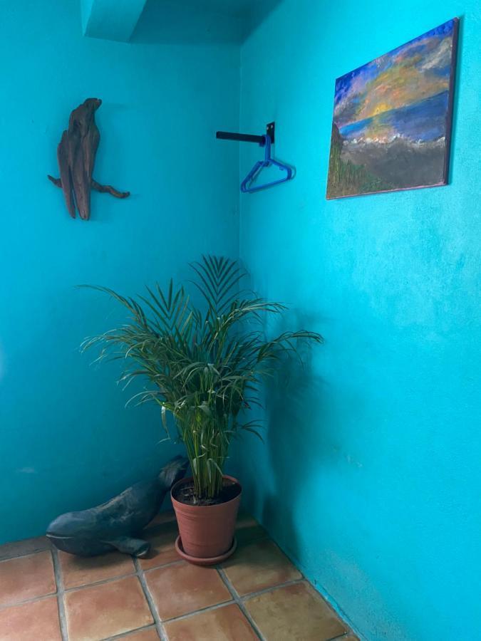 Bed and Breakfast Casa Xochitl El Centenario Exterior foto